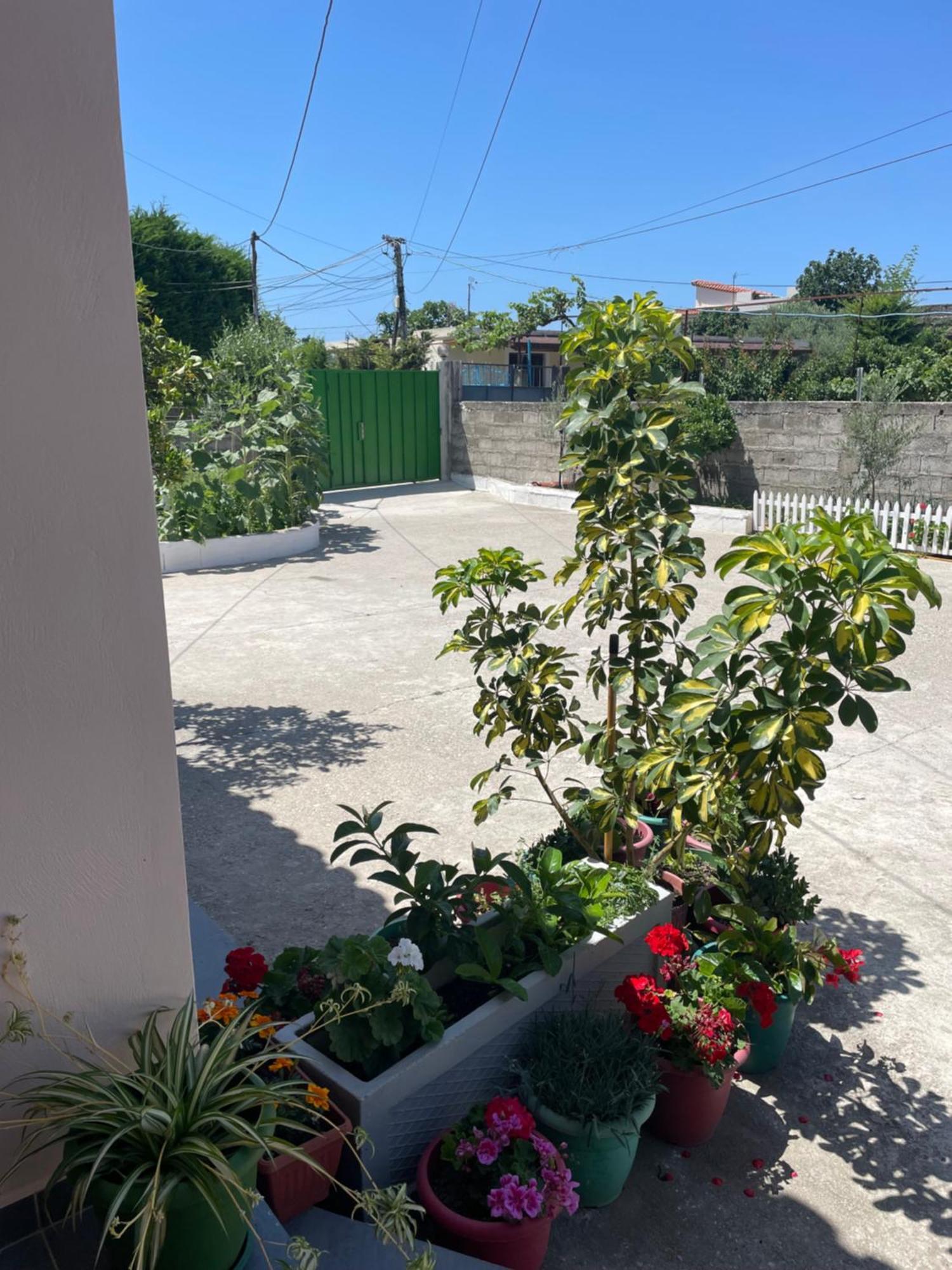 Rental Houses Dukaj Вльора Екстер'єр фото